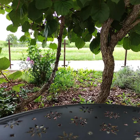 Pr' Oreharjo Apartmán *