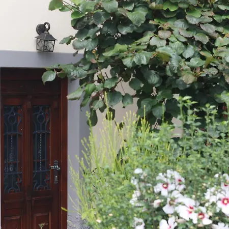 Apartman Pr' Oreharjo Zgornje Gorje