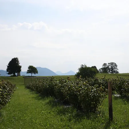 Pr' Oreharjo * Zgornje Gorje