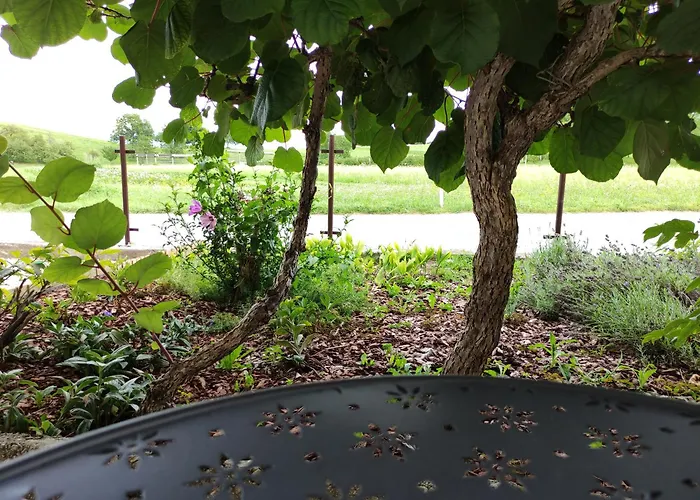 Pr' Oreharjo Apartma *