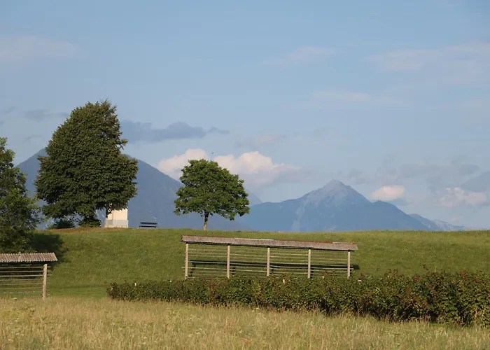 Apartma Pr' Oreharjo *