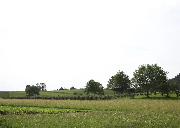 Apartma Pr' Oreharjo Zgornje Gorje