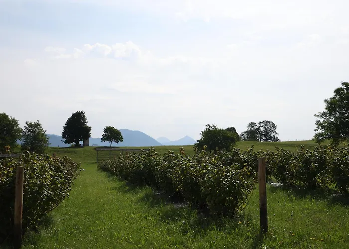 Pr' Oreharjo * Zgornje Gorje